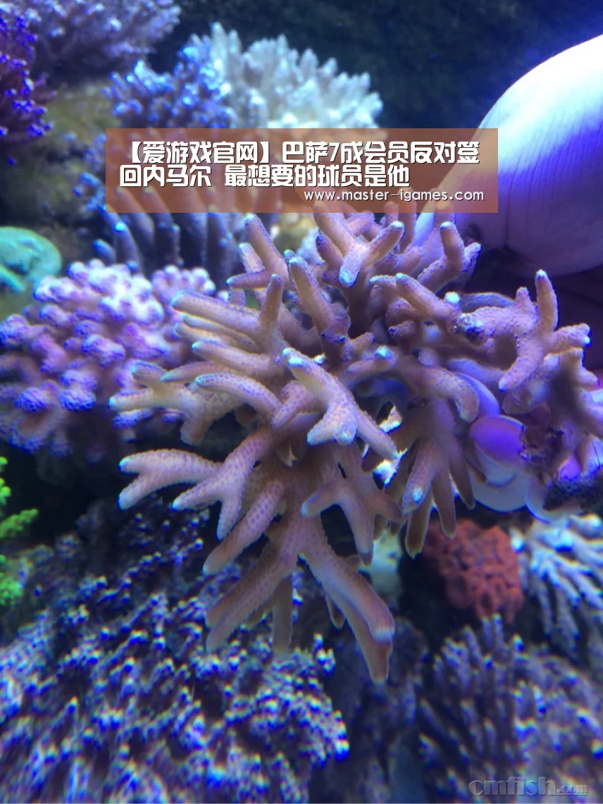 爱游戏官网